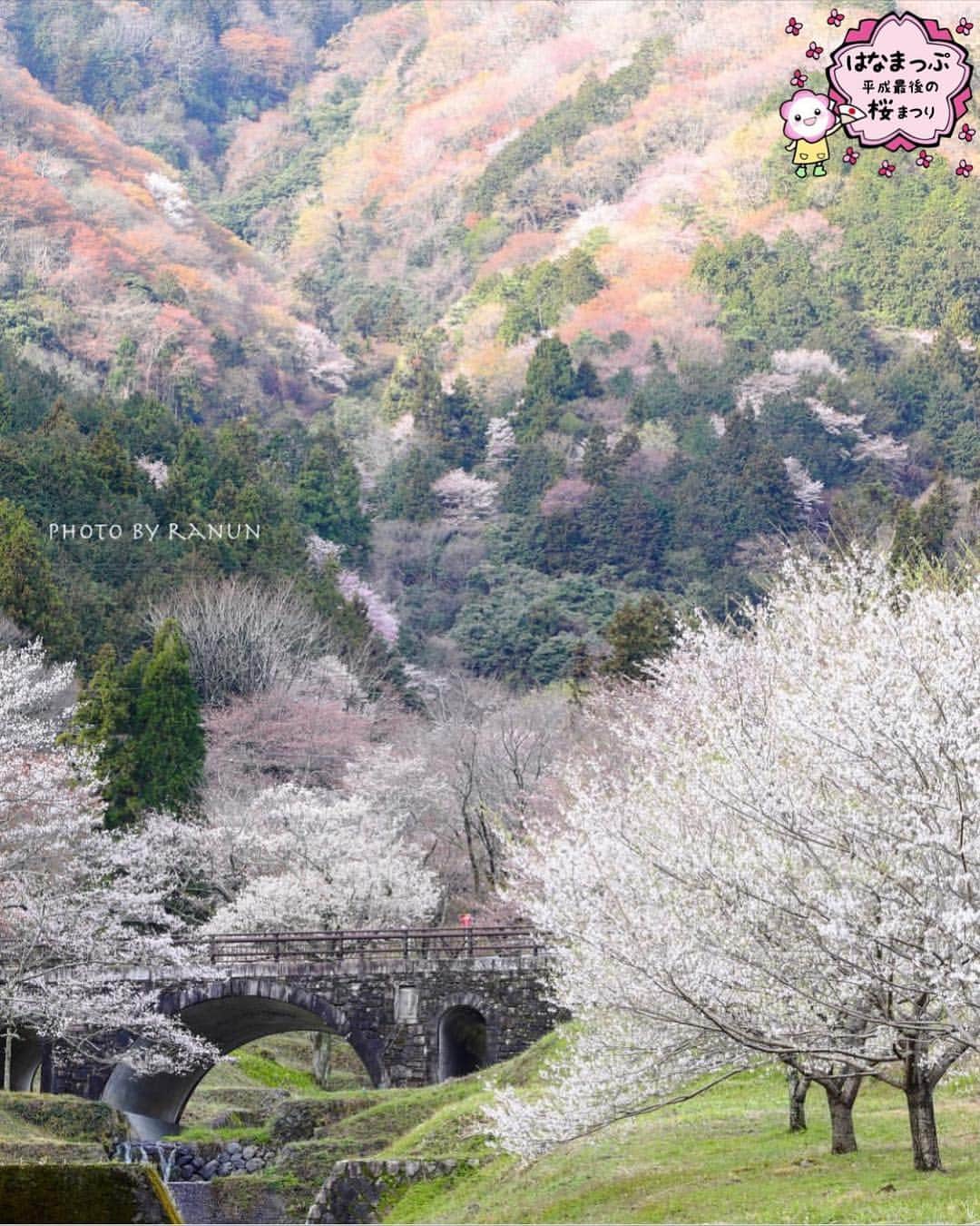 はなまっぷ❁日本の花風景さんのインスタグラム写真 - (はなまっぷ❁日本の花風景Instagram)「🍃🌸はなまっぷ平成最後の桜まつり🌸🍃 * @ranunphoto さんの 平成の桜に花まるを💮 * 平成を彩る日本の美しい桜をありがとうございます😊🌸🍃 * 岐阜  #霞間ヶ渓 Kamagatani Gifu Pref. * 見頃を過ぎている場所もご紹介しています。 お出かけの際はHP等で最新の情報をご確認くださいね🙏🌸🍃 * 🌸•••🍃•••🌸•••🍃•••🌸•••🍃•••🌸 * 🌸桜まつり概要🌸 * 期間:平成最後の日まで タグ:#はなまっぷ * #はなまっぷ  のタグの中から、桜のお写真をどんどんご紹介させていただきます。期間中はランダムに、複数枚投稿でもご紹介させていただく場合がございます。 * #桜#sakura#花見#さくら#日本#春#花#平成最後の#満開 * 🌸•••🍃•••🌸•••🍃•••🌸•••🍃•••🌸 * はなまっぷより * 💌LINEスタンプ「はなまっぷちゃん」絶賛発売中！みなさんのLINEにも花まるを💮 💌はなまっぷ本、Amazonや全国の書店さんで満開です！ぜひお手にとっていただけると嬉しいです🌸 * LINEスタンプ、はなまっぷ本は、プロフ欄記載のTwitterアカウントよりご確認ください。 * 🌸•••🍃•••🌸•••🍃•••🌸•••🍃•••🌸 *」4月3日 12時39分 - hanamap