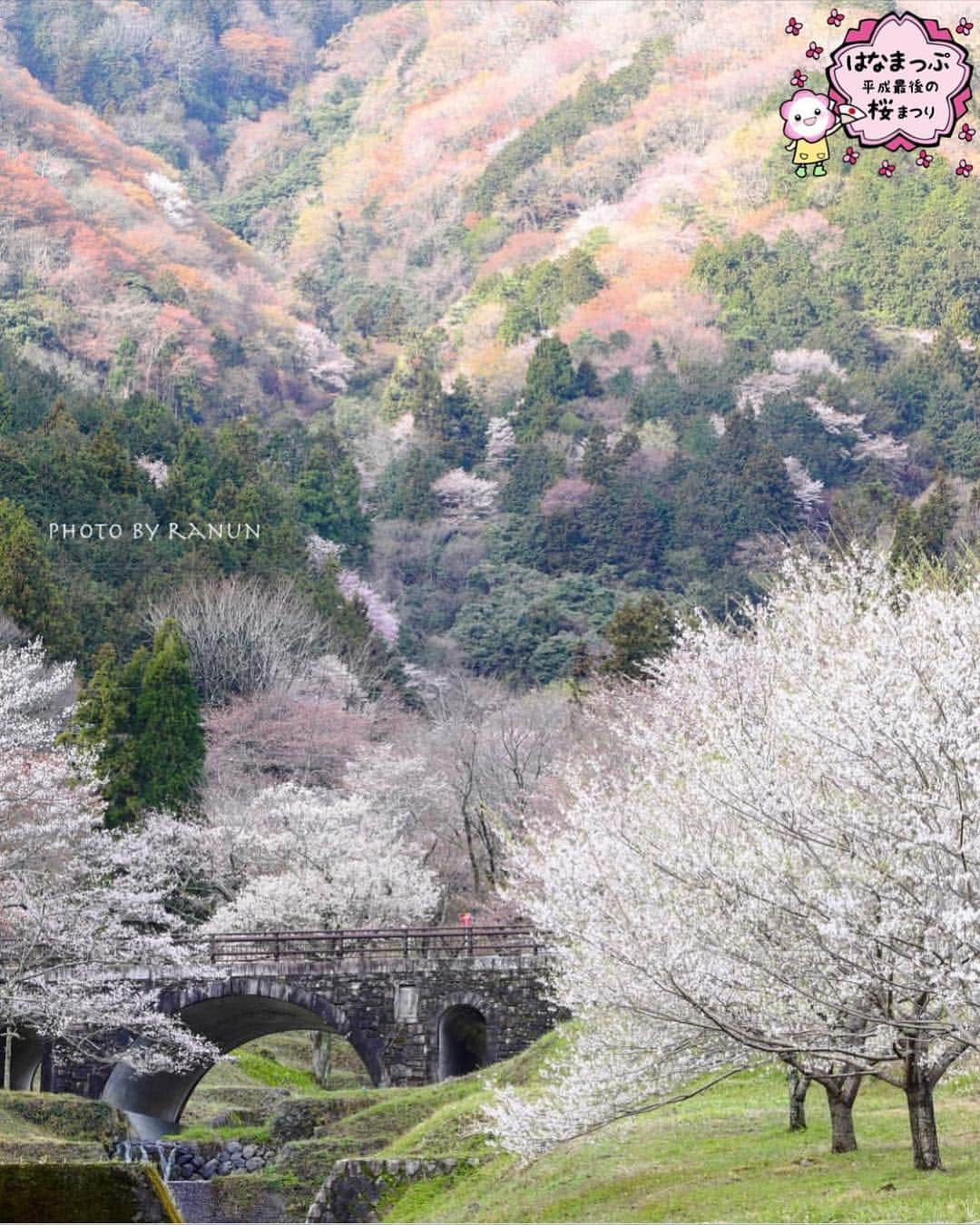 はなまっぷ❁日本の花風景のインスタグラム