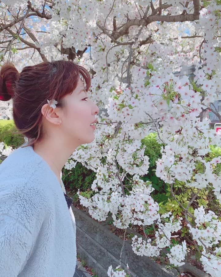 のインスタグラム：「#sakura #🌸 #💋」