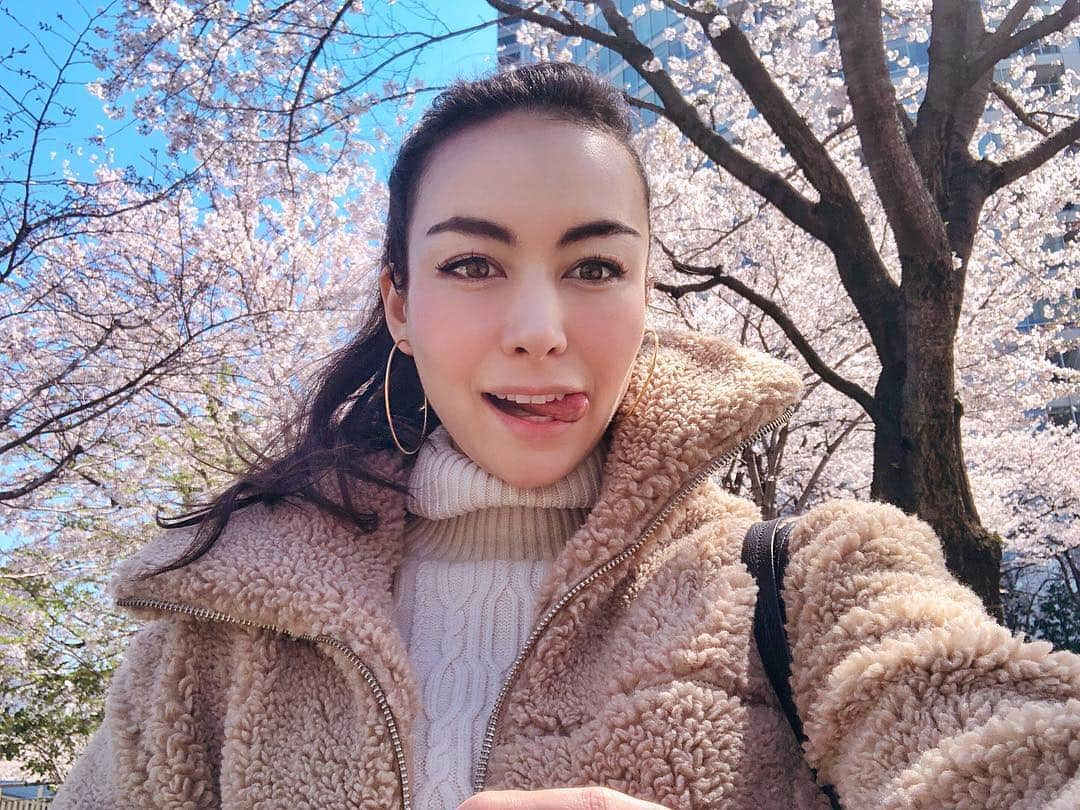 シャウラさんのインスタグラム写真 - (シャウラInstagram)「Day 2 with my tongue and forehead out. Oh yeah and the beautiful Sakura. Also this filter makes my skin look amazing.  おでこと舌がでて2日目。フィルターのおかげでお肌ツルツル。フィーチャリング桜です。 #ootd #sakura #cherryblossom #桜」4月3日 13時03分 - shaula_vogue