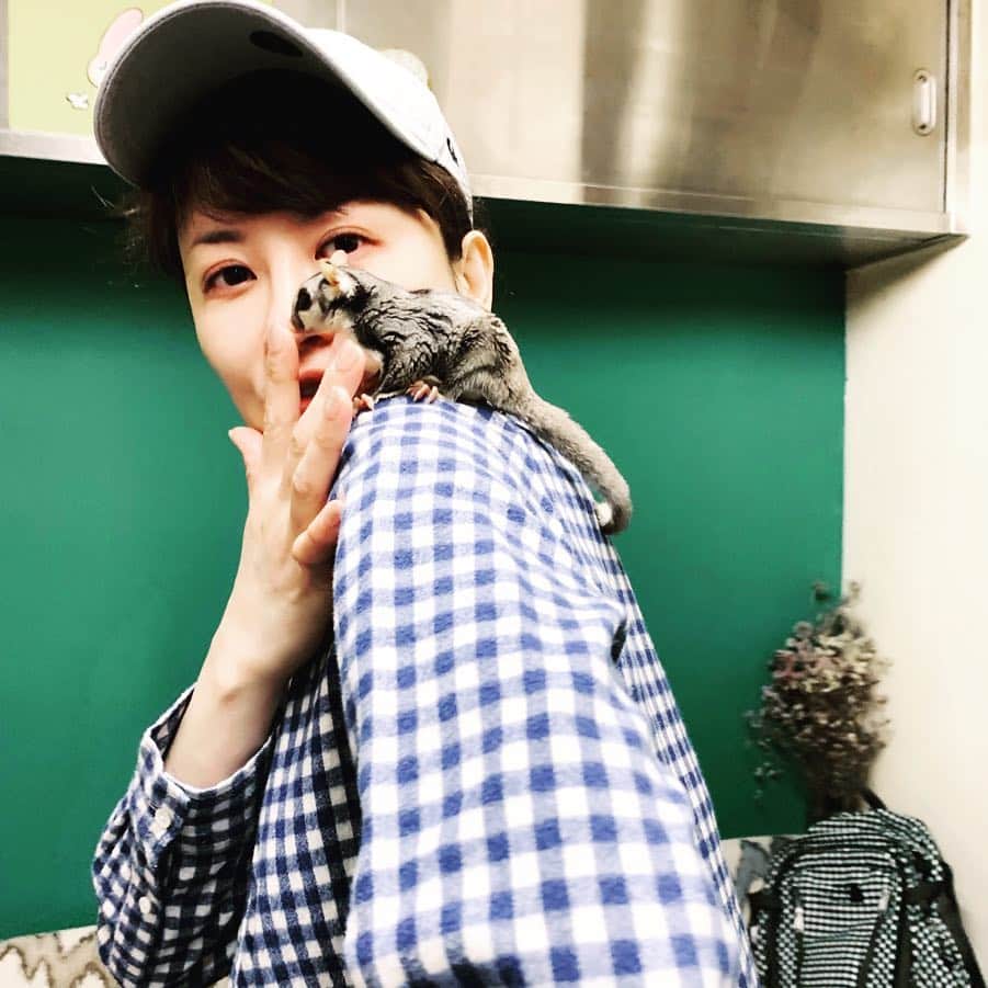 鈴木砂羽さんのインスタグラム写真 - (鈴木砂羽Instagram)「ナウシカごっこ🌈🌈🌈 フクロモモンガの もこくん🐿 モモンガと初めて戯れました🤗 キャワーです❣️連れて帰りたい❣️ けどワタシの家に来たら大変なことになるなぁ、、、🐈🙀😼😻🐈 #フクロモモンガ #ハチ ジッ👀 #メルシィ ジッ👀 #にゃんすたぐらむ  #動物大好き #声うらない千恵子 #cafena #原宿」4月3日 12時55分 - bombon_sawa
