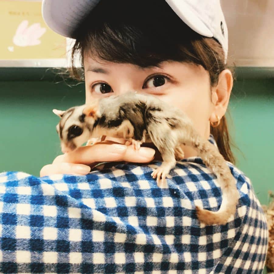 鈴木砂羽さんのインスタグラム写真 - (鈴木砂羽Instagram)「ナウシカごっこ🌈🌈🌈 フクロモモンガの もこくん🐿 モモンガと初めて戯れました🤗 キャワーです❣️連れて帰りたい❣️ けどワタシの家に来たら大変なことになるなぁ、、、🐈🙀😼😻🐈 #フクロモモンガ #ハチ ジッ👀 #メルシィ ジッ👀 #にゃんすたぐらむ  #動物大好き #声うらない千恵子 #cafena #原宿」4月3日 12時55分 - bombon_sawa