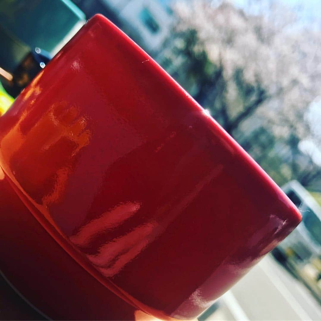 のインスタグラム：「飲み過ぎた翌日は、カレー🍛  お花見🌸」