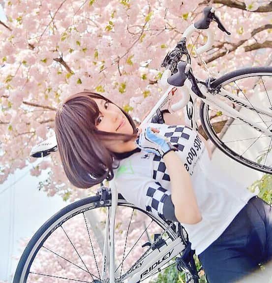 林檎蜜紀さんのインスタグラム写真 - (林檎蜜紀Instagram)「桜🌸満開‼️ お花見ライドしましたか？ #followalways #フォローミー #いいねした人で気になった人フォロー  #bikegirl #kawii #Japanesestyle #me #prettygirlsonbike #sexyandbicycle #fixiegirls #cyclist #cyclingphotos #beautyofcycling #lovesport #ロードバイク女子 #桜 #cherryblossom  #八重桜  #asiangirls  #asianbeauty」4月3日 13時09分 - ringo_mitsuki