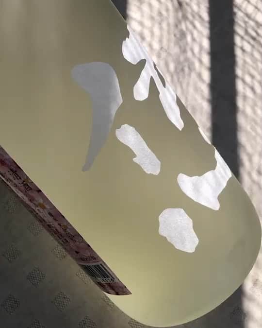 純米酒専門八咫 渋谷店のグルメインスタ