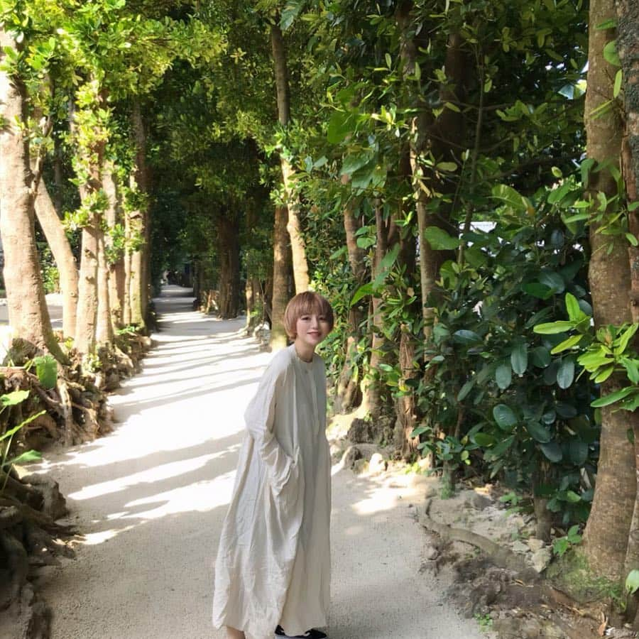 長谷川あやさんのインスタグラム写真 - (長谷川あやInstagram)「🌲🌲🌲 #okinawa #trip #travel #happy #japan #fashion #ootd #outfit #code #coordinate #style #ribou #マタニティコーデ #妊婦コーデ #32w #プレママ #妊婦 #妊娠9ヶ月 #初マタ #妊娠32週 #152せんちこーで #あや旅成長日記 ・ ・ ・ のんびり#備瀬のフクギ並木 でお散歩 👩✨ ・ いつも自転車だったから ここ歩くのは初かも👏(´∀｀) ・ ちょうどいいお天気で めちゃくちゃ気持ちよかったー😍💭」4月3日 13時15分 - ayasuke_0516