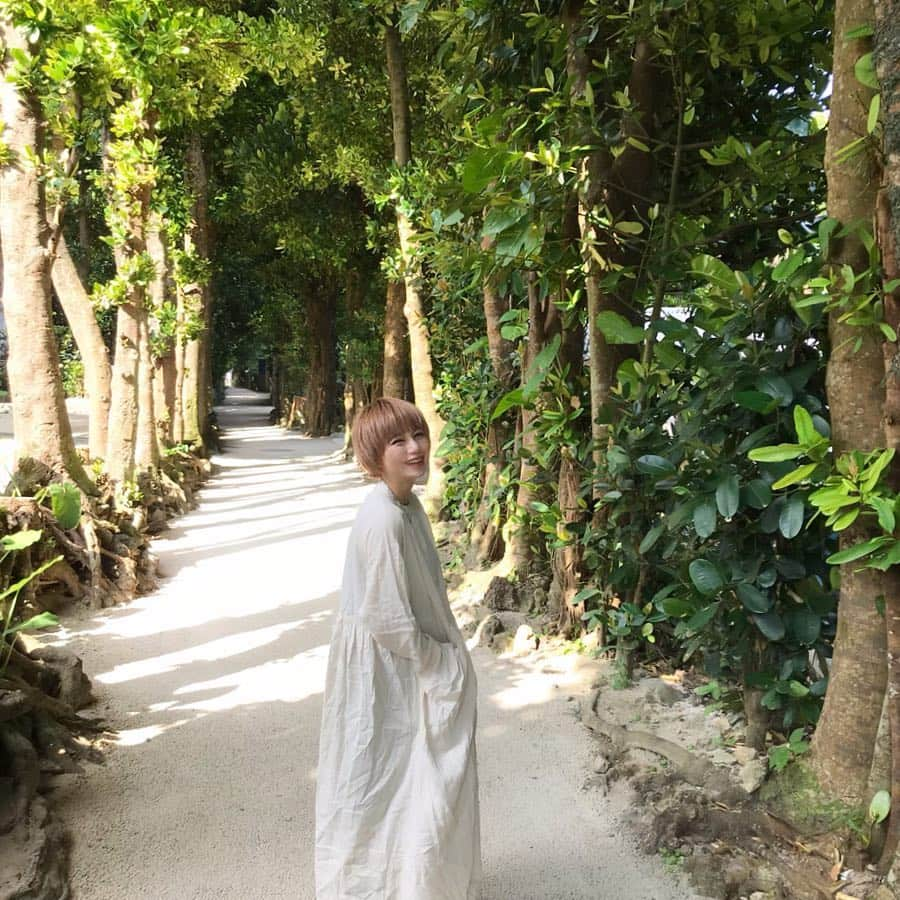 長谷川あやさんのインスタグラム写真 - (長谷川あやInstagram)「🌲🌲🌲 #okinawa #trip #travel #happy #japan #fashion #ootd #outfit #code #coordinate #style #ribou #マタニティコーデ #妊婦コーデ #32w #プレママ #妊婦 #妊娠9ヶ月 #初マタ #妊娠32週 #152せんちこーで #あや旅成長日記 ・ ・ ・ のんびり#備瀬のフクギ並木 でお散歩 👩✨ ・ いつも自転車だったから ここ歩くのは初かも👏(´∀｀) ・ ちょうどいいお天気で めちゃくちゃ気持ちよかったー😍💭」4月3日 13時15分 - ayasuke_0516