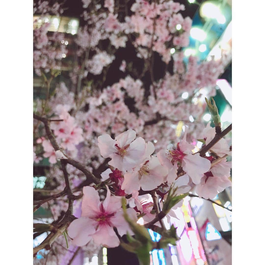 有明ゆなさんのインスタグラム写真 - (有明ゆなInstagram)「夜桜って なんでこんなにも 綺麗なんだろうね(*´꒳`*) . . . . #夜桜 #桜 #さくら #サクラ #新宿 #街中 #綺麗」4月3日 13時15分 - ariake_yuna