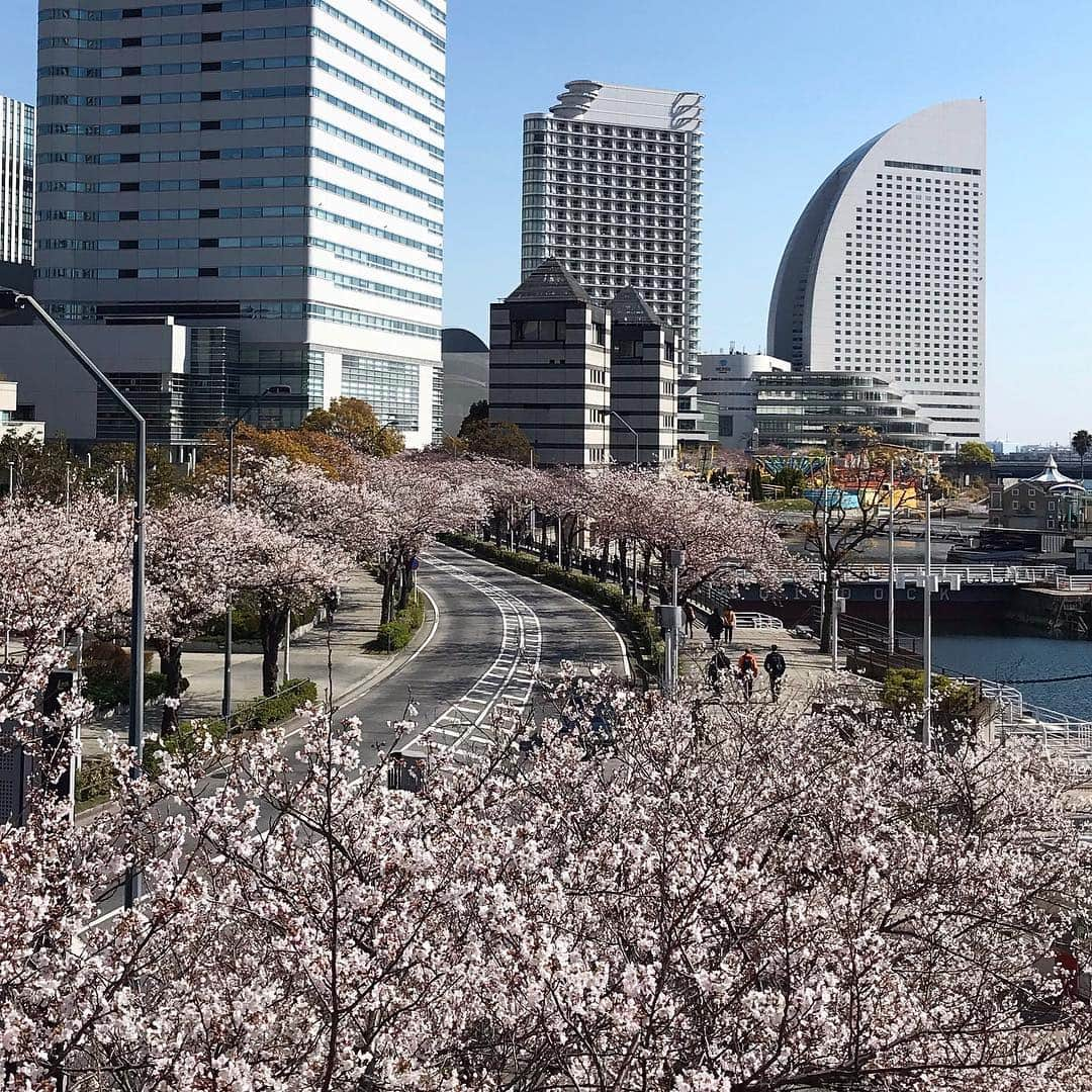 みなとみらい東急スクエアのインスタグラム