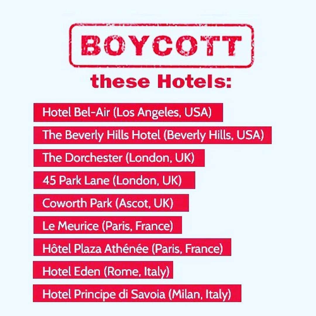 デブラ・メッシングさんのインスタグラム写真 - (デブラ・メッシングInstagram)「Thank you @ellen & @samantharonson for educating us. I stand with you, and hope people will use their power to send a message that this barbarism is unequivocally unacceptable. HUMAN RIGHTS ARE NON-NEGOTIABLE #hithiminthepocketbook 🌈🌈🌈🌈🌈🌈🌈🌈🌈🌈🌈🌈🌈🌈🌈🌈🌈🌈🌈#Repost @samantharonson If you feel the need to respond with comments like- it won’t make a difference, please do us both a favour and don’t. Because it makes a difference to me and it sure as fuck makes a difference to them. It’s the actual least we can do..... #Repost @theellenshow ・・・ Tomorrow, the country of Brunei will start stoning gay people to death. We need to do something now. Please boycott these hotels owned by the Sultan of Brunei. Raise your voices now. Spread the word. Rise up.」4月3日 13時27分 - therealdebramessing