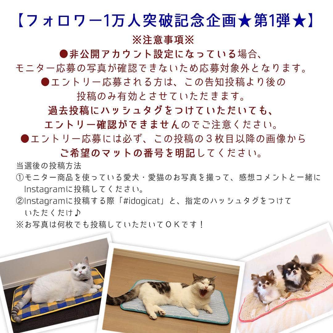 iDog&iCatさんのインスタグラム写真 - (iDog&iCatInstagram)「🛌 * instagramフォロワー10000人突破記念！ 【SNSモニター募集】を開始します！ おかげさまで、フォロワーが10000人を突破いたしました！ 皆様のお力添えがあったからこそです。 これからも社犬・社猫のゆる〜い投稿や新商品紹介、SNS限定企画などを行っていく予定です。 今後ともiDog&iCatをよろしくお願い致します🙇‍♀️✨ * 今回は、記念ということで3回連続で行います！ 感謝の気持ちを込めまして、少しでも多くの方にiDog&iCatの商品をお届けできればと思います！ * instagramアカウントをお持ちの方なら誰でも参加可能!! iDog&iCatのグッズをまだ使った事がない方も、いつもご愛用していただいている方も、誰でも気軽に参加してくださいね♪ * 第1弾のお試しグッズは【ひんやりマット】です！ ※こちらは現在販売中の商品とデザインが異なります。（クール機能は変わりません） あらかじめご了承ください。 これからの季節にぴったりなひんやりマットをお送りいたしますので、届いた商品を使用した愛犬・愛猫のお写真をinstagramに投稿してください♪ * 【モニター応募方法】 1）iDog&iCatアカウントをフォロー 2）【#iDogSNSモニター応募】へ愛犬・愛猫のお写真を投稿！ その際、愛犬・愛猫のお名前と、この投稿の3枚目〜4枚目の画像から希望のマットの番号を記載して応募完了です！ * ⚠️今回は、今までのモニター企画にご応募いただいたものも一度無効とさせていただきますので、改めてご応募をよろしくお願いします。 ⚠️モニターエントリー応募される方は、この告知投稿より後の投稿のみ有効とさせていただきます。 過去投稿にハッシュタグをつけていただいても、エントリー確認ができませんのでご注意ください。 ⚠️アカウントが非公開設定になっている場合、応募が確認できませんので、必ず全体公開されているアカウントでご応募ください。 * 今回のモニター応募期間は【4/3 - 4/5 23:59まで】です！ 当選者はiDog&iCatアカウントからダイレクトメッセージにてご連絡させていただきます。 * 皆様のご応募、お待ちしております♪ * #idogicat #iDog #iCat #犬 #いぬ #猫 #ねこ #モニター募集 #犬の服iDog #お試し #ひんやり」4月3日 13時30分 - idogicat
