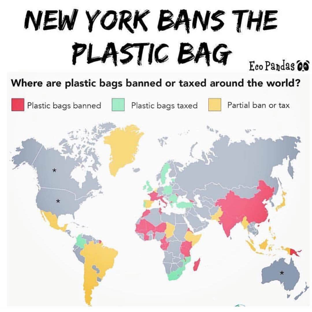 メリッサ・ジョーン・ハートさんのインスタグラム写真 - (メリッサ・ジョーン・ハートInstagram)「So proud of my home city but shocked it took so long! Now let’s ban them across the country. There is no room on this planet for single-use plastics!! They are truly toxic for us, and the planet. 🌎」4月3日 13時42分 - melissajoanhart
