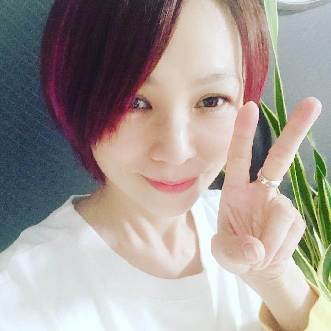 永井真理子のインスタグラム：「永井真理子 Live Tour2019 “ W “  7/13(土)大阪、14(日)名古屋、20(土)渋谷、の第一弾 先行予約の発表が本日ありました！ もしも、ゲットできなかった方＆知らずにいた！という方は第二弾 先行予約が4/6からありますー！ 是非、遊びに来てくださいね✨ ＊e+ pre-order: 4月6日(土)12:00 ~ 4月8日(月)18:00受付  e+ http://eplus.jp」