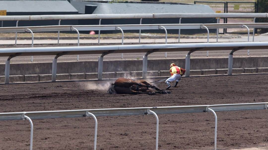 ジ・オニオンさんのインスタグラム写真 - (ジ・オニオンInstagram)「Santa Anita Racetrack Officials Award First Place To Jockey Who Dragged Dead Horse 30 Yards Over Finish Line⁣ ⁣ Visit link in bio for full story. #TheOnion⁣⁣」4月3日 5時27分 - theonion