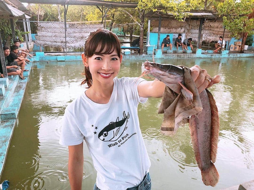 のインスタグラム：「👍🏼♡ #wishtofish Baliでももちろん..釣り😆💕 人生初のナマズ釣り‪🎣‬🎶 この釣り堀に日本人が来たのは初めてらしい😂✨笑 ＊ #bali #baliindonesia #balitrip #balitravel #fish #catfish #catfishing #fishing #balifishing #fishinggirl #バリ #バリ島 #釣り堀 #ナマズ #ナマズ釣り #レッツリー #阪本智子」