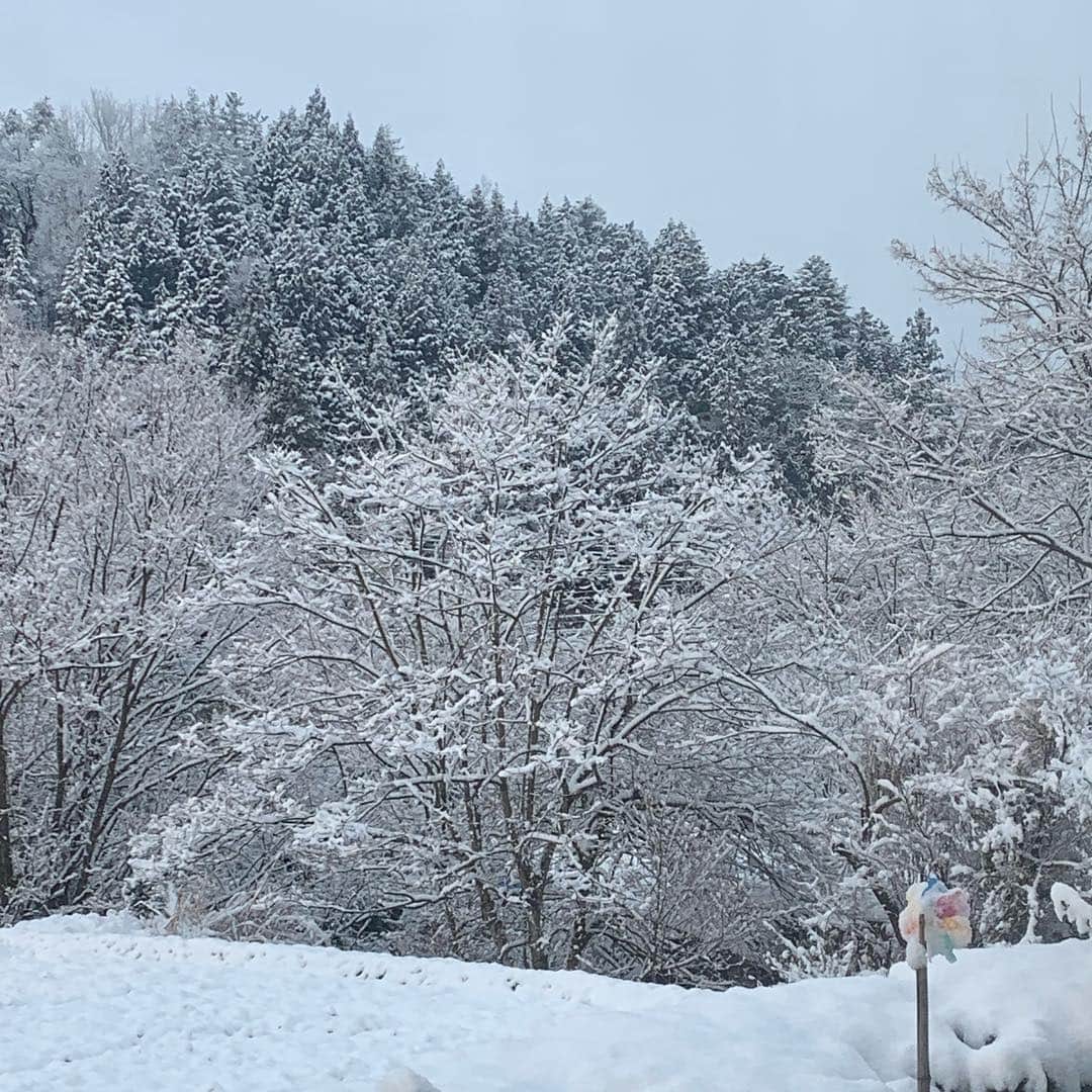都竹悦子さんのインスタグラム写真 - (都竹悦子Instagram)「また雪の朝。  #2019年4月3日 #飛騨高山」4月3日 6時26分 - etsukotsuzuku