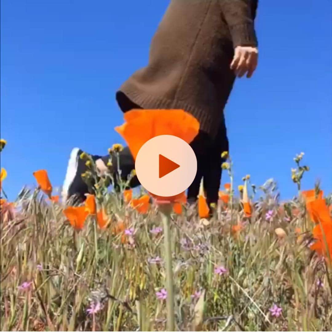 ジェシー・カーマイケルのインスタグラム：「Happy 40th birthday to me! My buddy @christophonemusic and I made this for the latest @2minutemovies collaboration! Go there to check it out! Let’s help spread the word about @2minutemovies Xoxox」