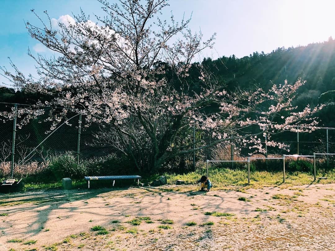 宇藤えみさんのインスタグラム写真 - (宇藤えみInstagram)「ばぁばの育った母校があった場所。 息子はずっとだんご虫探し。 #愛媛#佐田岬#暮らし#春 #成長記録#2歳4カ月#豊かな遊び」4月3日 6時49分 - emiuto