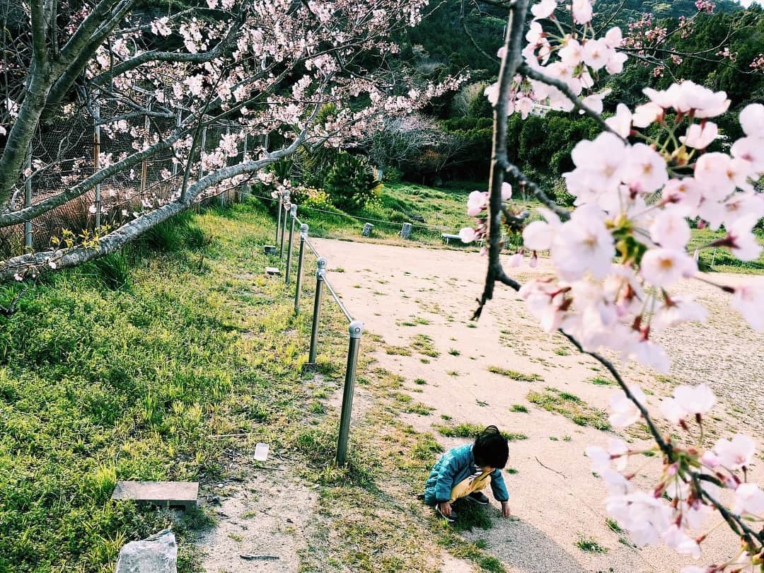 宇藤えみさんのインスタグラム写真 - (宇藤えみInstagram)「ばぁばの育った母校があった場所。 息子はずっとだんご虫探し。 #愛媛#佐田岬#暮らし#春 #成長記録#2歳4カ月#豊かな遊び」4月3日 6時49分 - emiuto