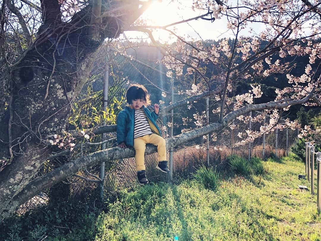 宇藤えみさんのインスタグラム写真 - (宇藤えみInstagram)「ばぁばの育った母校があった場所。 息子はずっとだんご虫探し。 #愛媛#佐田岬#暮らし#春 #成長記録#2歳4カ月#豊かな遊び」4月3日 6時49分 - emiuto