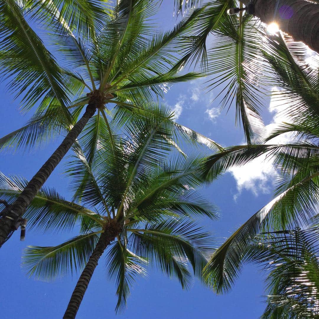 Belle Vie Hawaiiさんのインスタグラム写真 - (Belle Vie HawaiiInstagram)「本日もワイキキはピッカピカのお天気☀️﻿ ﻿ 老舗ホテルのピンクやヤシの葉の緑が眩しいです💕🌴﻿ ﻿ ﻿ ﻿ #belleviehawaii #hawaii﻿ #waikiki #waikikibeach﻿ #aloha #honolulu﻿ #surfboard #plumeria﻿ #hawaiilife #honoluluhawaii﻿ #ハワイ #ベルヴィー﻿ #ハワイ旅行 #ハワイ好き﻿ #ハワイ大好き #アロハ﻿ #ピンクパレス #ワイキキビーチ﻿ #ワイキキ #ロイヤルハワイアン﻿ #ホノルル #ハワイ生活﻿ #ハワイ好きな人と繋がりたい」4月3日 6時58分 - belleviehawaii