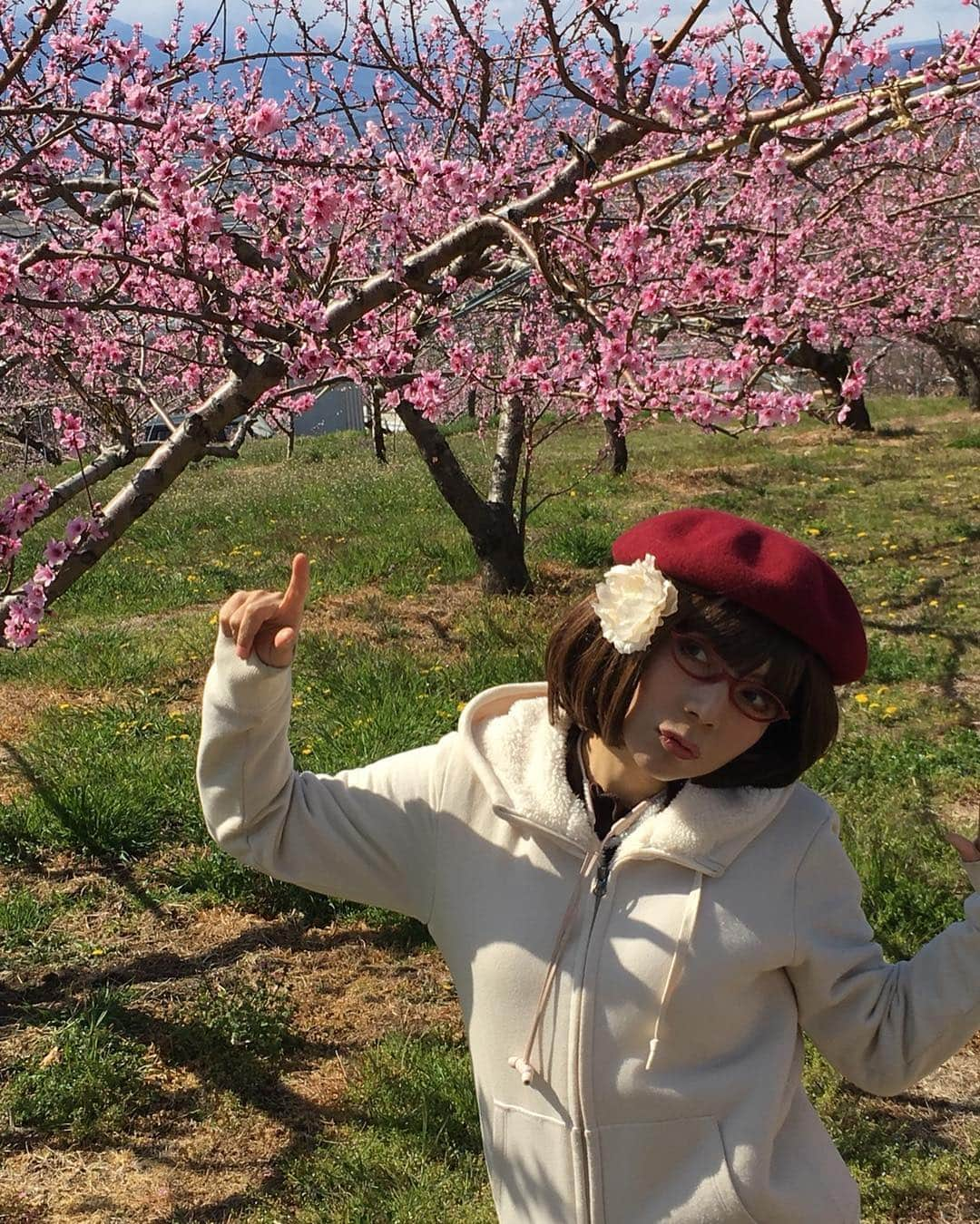 木部さんさんのインスタグラム写真 - (木部さんInstagram)「桃や桜の花、景色や温泉も良く、空気も食べ物も美味しくて最高の山梨旅行でした！🌸 . . . 帰りはタクシー🚕の運転手さんにおしえていただいた金精軒の信玄餅をお土産に買って帰りました！ . .  今週末は信玄公祭りが行われるそうで、さらに賑わうそうですよ！⚔🐎✨ . . 皆さまも是非！！！😄 . . . . #桃の花 #風林火山 #武田信玄 #信玄餅 #桜の花 #お花見 #peachtree #cherrytree #shingenmochi #kinseiken」4月3日 7時16分 - kibe_dayo