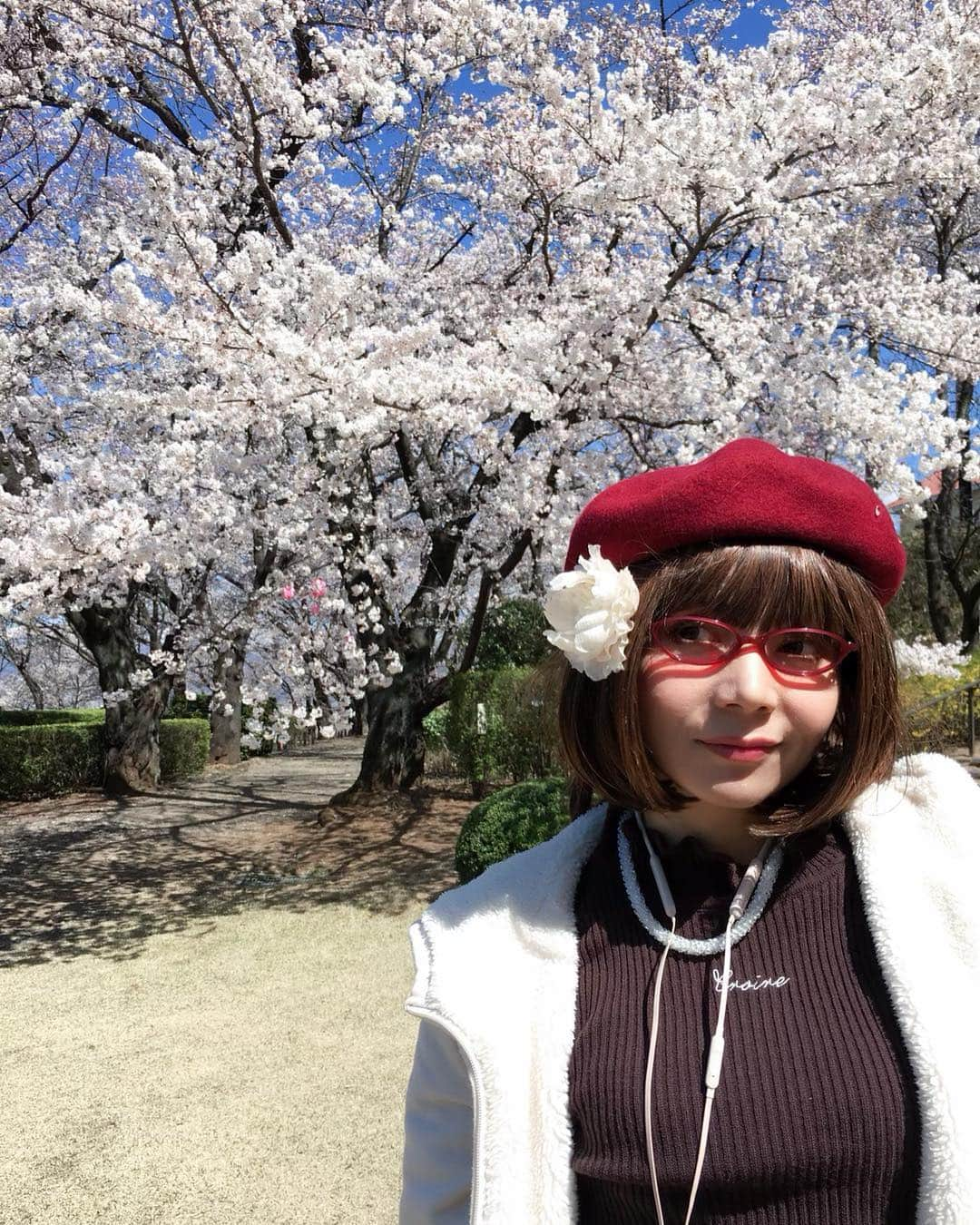 木部さんさんのインスタグラム写真 - (木部さんInstagram)「桃や桜の花、景色や温泉も良く、空気も食べ物も美味しくて最高の山梨旅行でした！🌸 . . . 帰りはタクシー🚕の運転手さんにおしえていただいた金精軒の信玄餅をお土産に買って帰りました！ . .  今週末は信玄公祭りが行われるそうで、さらに賑わうそうですよ！⚔🐎✨ . . 皆さまも是非！！！😄 . . . . #桃の花 #風林火山 #武田信玄 #信玄餅 #桜の花 #お花見 #peachtree #cherrytree #shingenmochi #kinseiken」4月3日 7時16分 - kibe_dayo