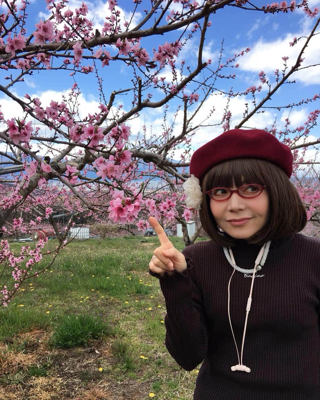 木部さんさんのインスタグラム写真 - (木部さんInstagram)「桃や桜の花、景色や温泉も良く、空気も食べ物も美味しくて最高の山梨旅行でした！🌸 . . . 帰りはタクシー🚕の運転手さんにおしえていただいた金精軒の信玄餅をお土産に買って帰りました！ . .  今週末は信玄公祭りが行われるそうで、さらに賑わうそうですよ！⚔🐎✨ . . 皆さまも是非！！！😄 . . . . #桃の花 #風林火山 #武田信玄 #信玄餅 #桜の花 #お花見 #peachtree #cherrytree #shingenmochi #kinseiken」4月3日 7時16分 - kibe_dayo