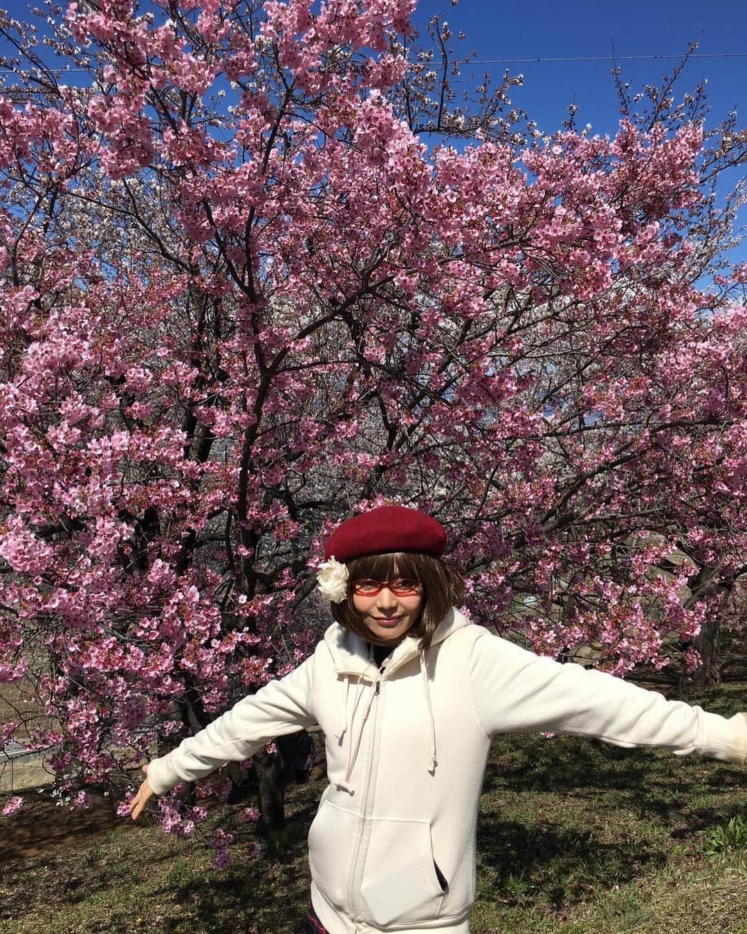 木部さんさんのインスタグラム写真 - (木部さんInstagram)「桃や桜の花、景色や温泉も良く、空気も食べ物も美味しくて最高の山梨旅行でした！🌸 . . . 帰りはタクシー🚕の運転手さんにおしえていただいた金精軒の信玄餅をお土産に買って帰りました！ . .  今週末は信玄公祭りが行われるそうで、さらに賑わうそうですよ！⚔🐎✨ . . 皆さまも是非！！！😄 . . . . #桃の花 #風林火山 #武田信玄 #信玄餅 #桜の花 #お花見 #peachtree #cherrytree #shingenmochi #kinseiken」4月3日 7時16分 - kibe_dayo