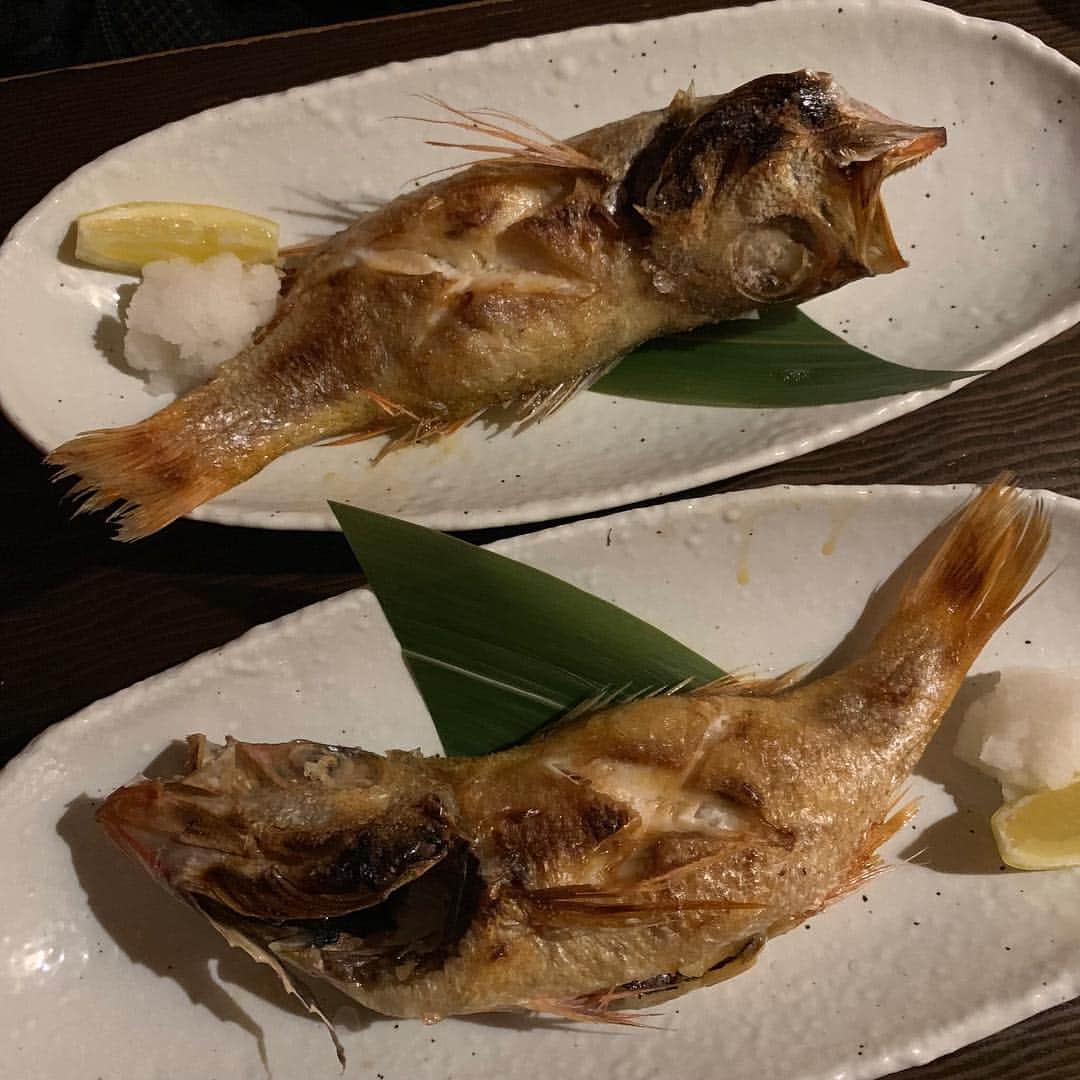 水木一郎さんのインスタグラム写真 - (水木一郎Instagram)「のどぐろはやっぱ美味しい魚だＺ! #のどぐろの塩焼き  #あさりのコロッケ  #サラダ  #水木一郎」4月3日 7時19分 - ichiromizuki