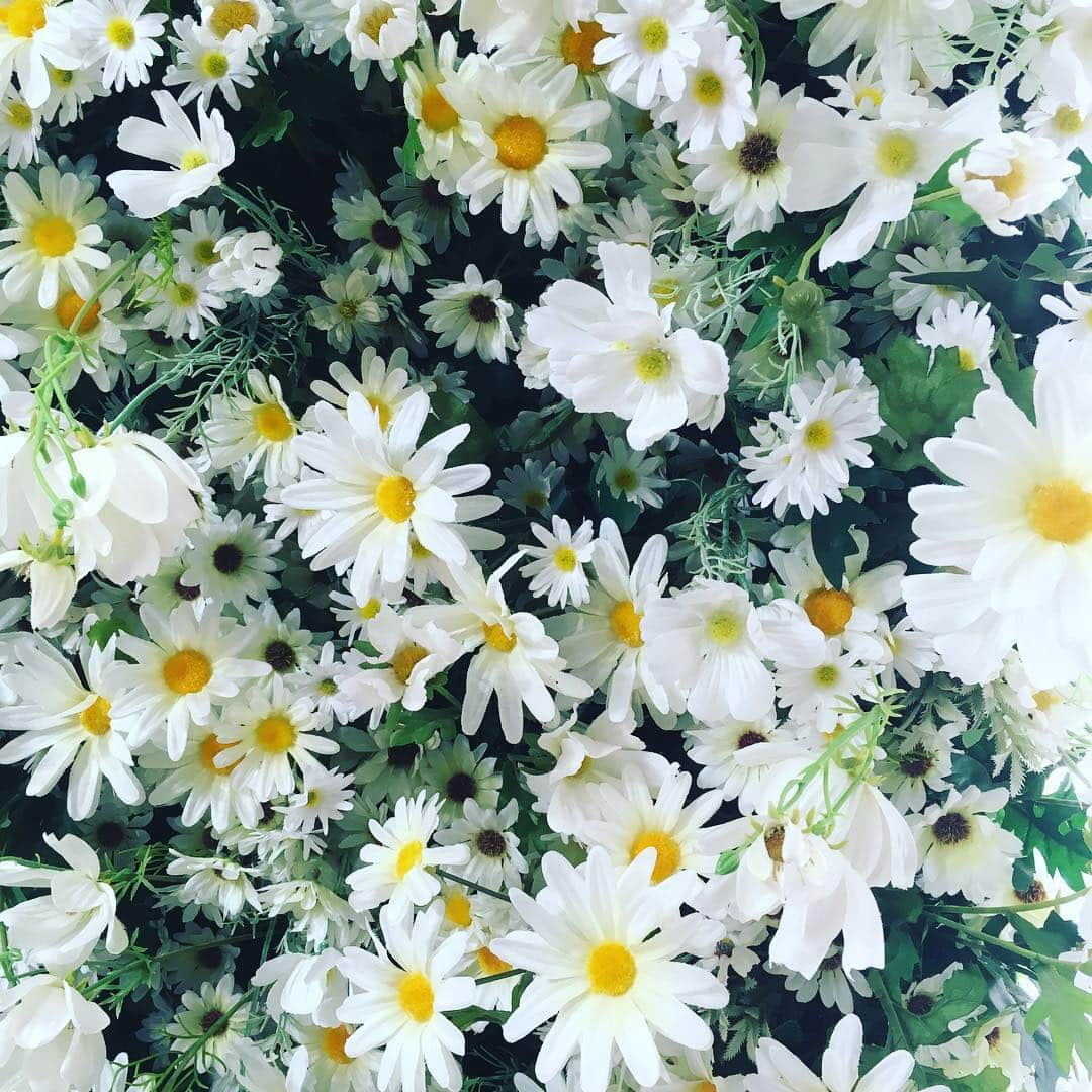 YUKKOのインスタグラム：「#thailand #タイ」