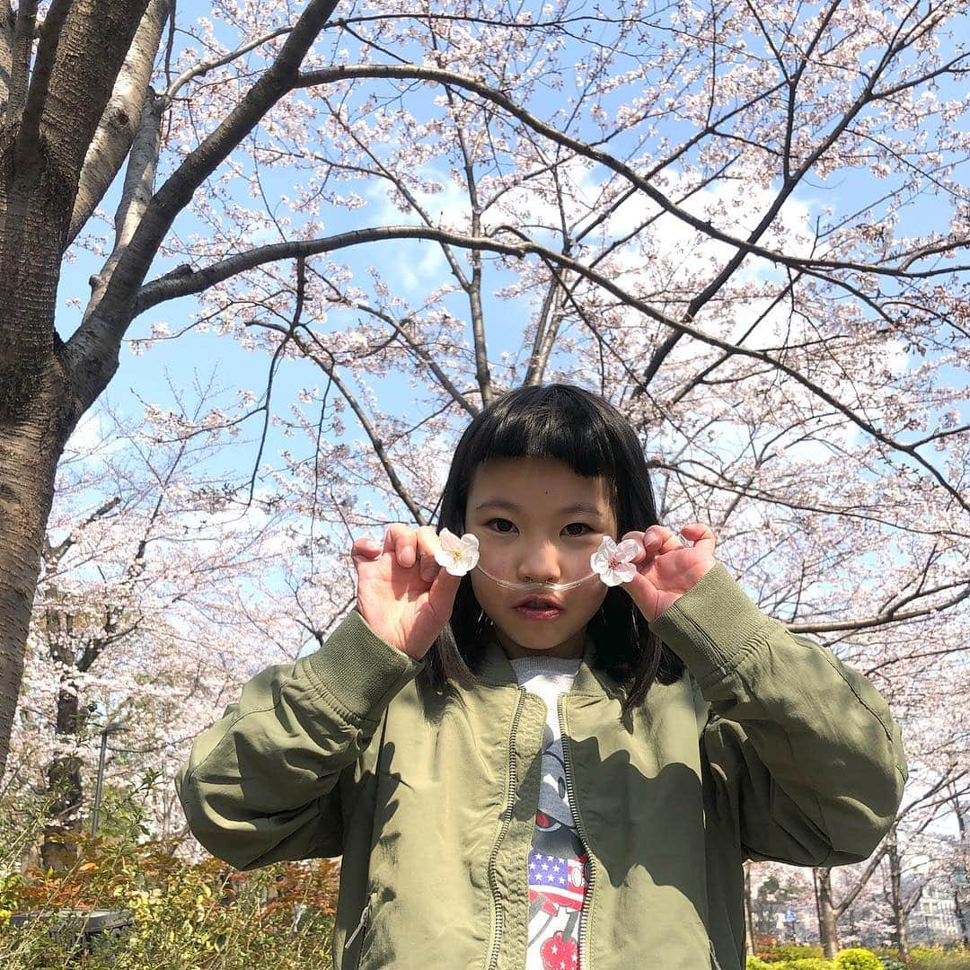 yukiさんのインスタグラム写真 - (yukiInstagram)「#桜 #cherryblossom #日本の春 #東京ミッドタウン #春が一番好き #milka おはようございます。  今年もキレイな桜🌸」4月3日 7時58分 - milkayuki