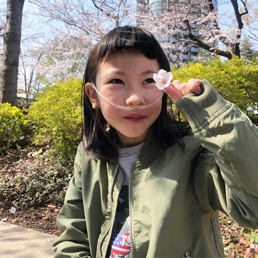 yukiさんのインスタグラム写真 - (yukiInstagram)「#桜 #cherryblossom #日本の春 #東京ミッドタウン #春が一番好き #milka おはようございます。  今年もキレイな桜🌸」4月3日 7時58分 - milkayuki