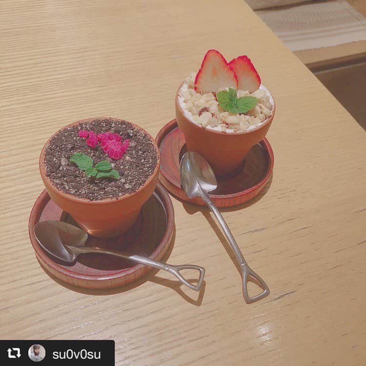 ハレノヒのインスタグラム：「#repost @su0v0su via @PhotoAroundApp . . 食後にちょうどよい大きさ◎ 新宿でご飯に迷ったらとりあえずルミネエストへ🥳 . .  #カフェ #カフェ巡り #カフェ好き #東京カフェ #新宿カフェ #ルミネエスト新宿 #ルミネエスト #シチハチダイナー #ハレノヒ #ハレノヒカフェ #ケーキ #植木鉢 #植木鉢ティラミス #植木鉢スイーツ #インスタ映えスイーツ #フラワーポット #すーめろカフェ巡り #cafe #sweets #shinjuku #lumineest #harenohi #harenohicoffee #harenohicafe @su0v0su様 ご来店ありがとうございます😊お写真も嬉しいです♪」
