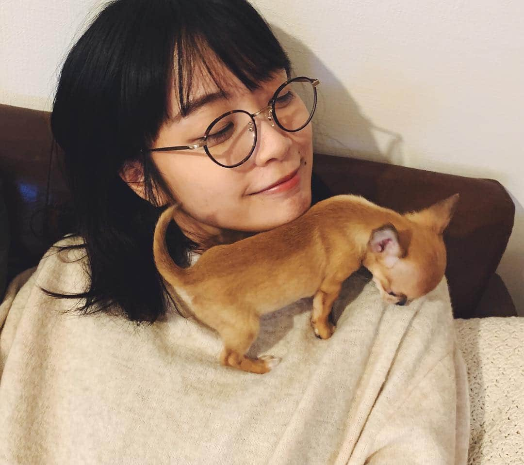 深川麻衣 さんのインスタグラム写真 - (深川麻衣 Instagram)「おはようございます！先日、友達が飼い始めた可愛すぎるワンコに癒されてきました…🐶uniちゃん。肩に登ろうとするの。笑 大きくのびのび育つんだよーー！」4月3日 8時21分 - fukagawamai.official