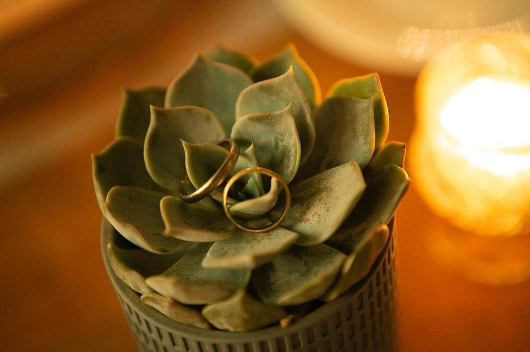 WEDDING CIRCUS オリジナルウェディングのグルメインスタ