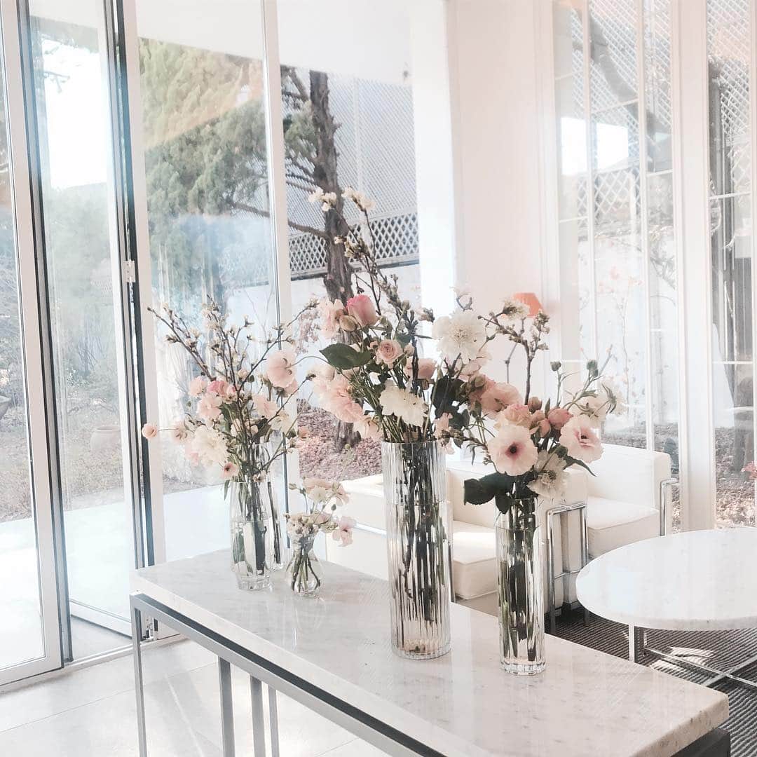 플로리스트 이주연 florist Lee Ju Yeonさんのインスタグラム写真 - (플로리스트 이주연 florist Lee Ju YeonInstagram)「. #아난티청담 #디스플레이 #display . 언제봐도 아름다운곳 💓이번주는 벗꽃으로 💕 . #수업문의 #주문예약 #lesson #Order  Katalk ID vaness52 클래스상시모집 당일꽃주문가능 WeChat ID vaness_flower E-mail vanessflower@naver.com . 강남구 신사동 515-2 📞02-545-6813 . #vanessflower #florist #flowershop #handtied #flowerlesson #花束 #花束包装 #바네스플라워 #플라워카페 #플로리스트 #꽃다발 #부케 #플로리스트학원 #신사역꽃집 #꽃꽂이수업 #플라워레슨 #꽃다발포장법 #꽃수업 #꽃주문 #하우스웨딩 #대관 #카페대관 #강남카페대관」4月3日 8時56分 - vanessflower