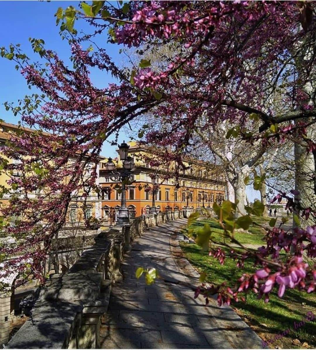 のインスタグラム：「訪れた #春 in #ボローニャ 🌸 #モンタニョーラ公園 #Bologna #Montagnola #旅 #公園 #イタリア #ilikeitaly #loveイタリア #treasureitaly #散歩  Special Thanks to 😘 📷 @kristian_bal」