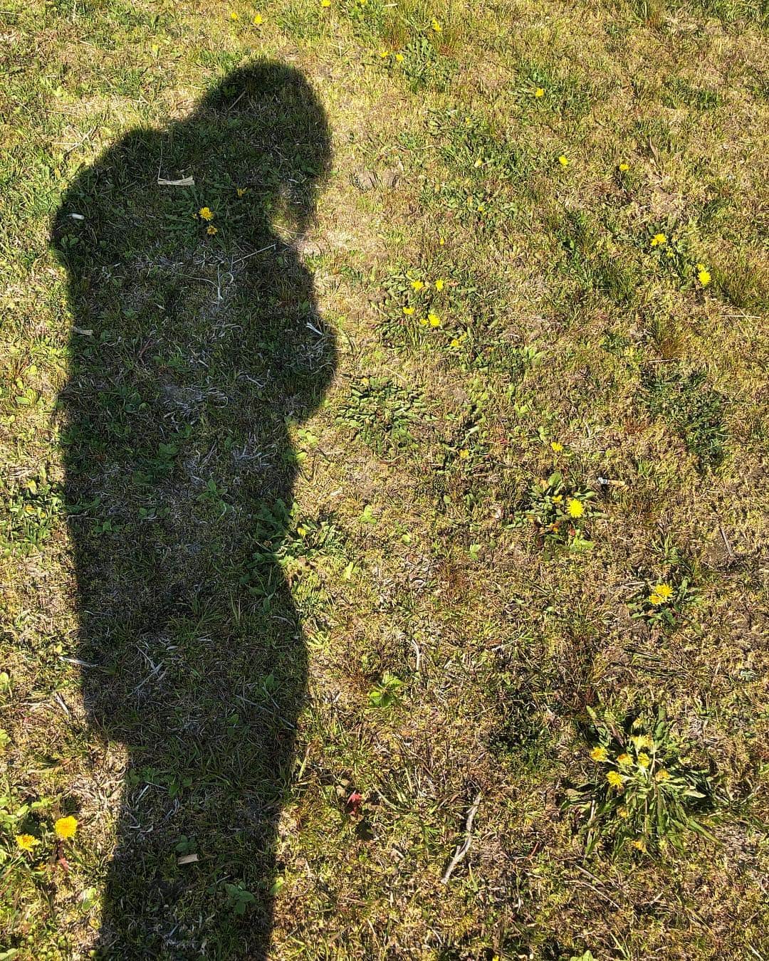 人時のインスタグラム：「おはようございます。散歩♫ 川沿いを少し歩きましたが……。 やはり竿を持参すれば良かったと思うのでした。目の前には杭が立ち並び、少し歩けばアウトサイドでテトラが沢山。。。」