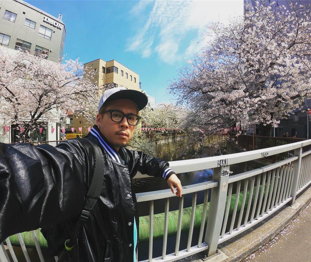 DJ HALのインスタグラム