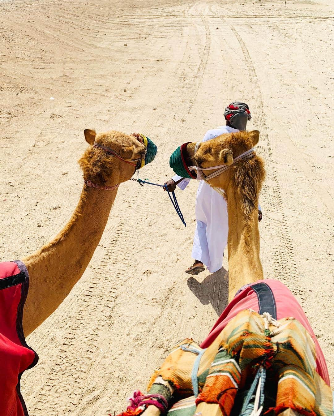 アドリアナ・ディアスさんのインスタグラム写真 - (アドリアナ・ディアスInstagram)「Take me back 🐪🇶🇦」4月3日 9時34分 - diazadriana123