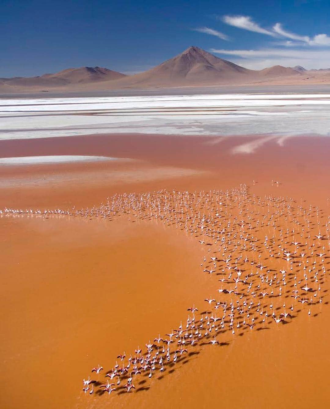 thephotosocietyさんのインスタグラム写真 - (thephotosocietyInstagram)「Photo by George Steinmetz @geosteinmetz  There are only 50,000 James’ flamingos in the world, and most of them nest on Laguna Colorada, at 14,000 ft. in the Bolivian Andes. The lake is stained orange by a microscopic algae and diatoms that thrive in the mineralized spring water, and nourish the filter feeding birds. This picture was taken with my motorized paraglider, which was extremely challenging in a foot-launched aircraft. #altiplano #paramotor #inextremis  To see more of our earth from above, follow @geosteinmetz」4月3日 9時44分 - thephotosociety