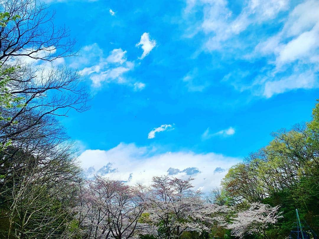 武田双雲さんのインスタグラム写真 - (武田双雲Instagram)「人の噂や  あの人はわたしのことを、こう思ってるに違いない  みたいな箱の中に入らないこと。  入ってもすぐに箱の外に出ること。  人の噂や気持ちなんて、 コロコロ変わるような、 ふわふわ消えるような  ものをかためた箱の中に入ってたら  こっちの心まで固まっちまう  これまで何度か入っちまって固まった時、  溶かすのにえらく時間かかったもんなぁ  双雲」4月3日 10時04分 - souun.takeda