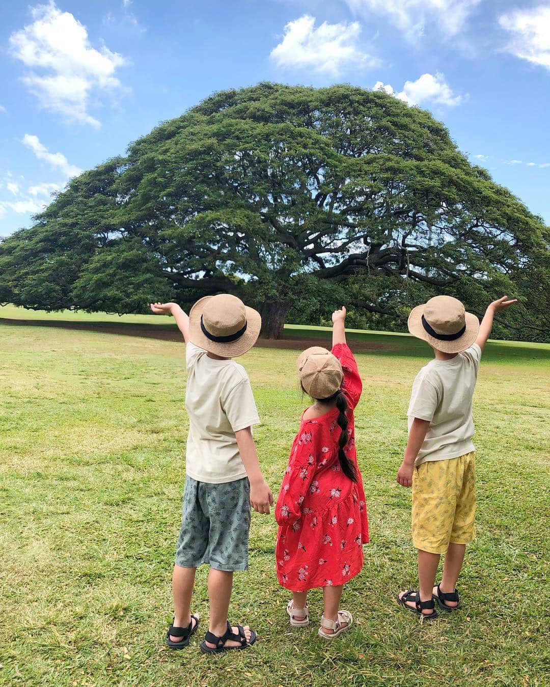manamisotayutaさんのインスタグラム写真 - (manamisotayutaInstagram)「#Hawaii 🌳 この木なんの木気になる木〜で有名な #モアナルナガーデン  に行ったよ🌳✨ こどもの頃からテレビで見ていた場所に行けたぁー❤️ ひろーい芝生の公園におっきな木🌳 風が心地よくて癒される♪ ＊ ＊ mama onpeace @zara  #zara#ザラ ・ kids👧 onpeace @oldnavy  shoes @outletshoes_official ＊ ＊ ＊ #moanaluagardens  #親子コーデ#trip#旅行#ハワイ#双子コーデ#この木なんの木気になる木  #ハワイ旅行 #母娘コーデ #pink#genic_hawaii  #南国#ハワイカフェ #カベジョ#gw_mag  #タビジョ#女子旅  #mamagirl #ponte_fashion #locari  #mineby3mootd #retrip_hawaii#プチプラコーデ#ママタビジョ#genic_hawaii #アロハタビジョ」4月3日 10時12分 - manamisotayuta