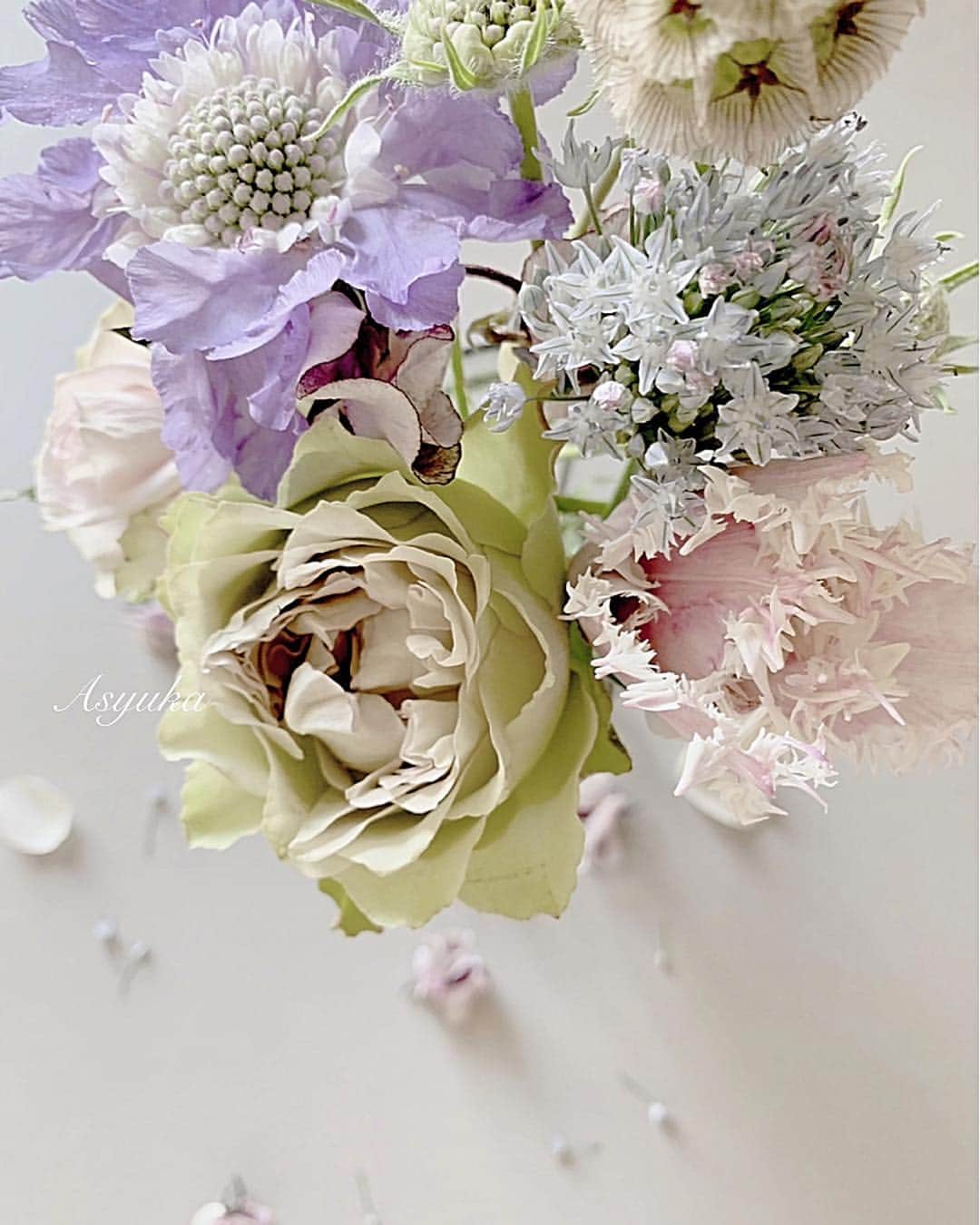 Yuka Kaedeさんのインスタグラム写真 - (Yuka KaedeInstagram)「今日のお花♡ * 皆さま良い一日を♪(^^) * * * * #アシュカの花あそび」4月3日 10時21分 - _asyuka_