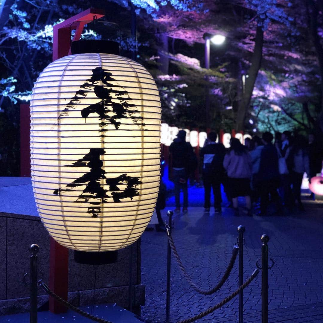 run+さんのインスタグラム写真 - (run+Instagram)「#桜 #こいのぼり #新元号 と季節の楽しみ満載の #帰宅ラン ・ 東京タワーにかかる桜が美しく何度でもうっとり🗼✨ 途中 #お花見 に立ち寄ったり🌸 東京タワーの足元に早くも泳ぐこいのぼり🎏 #新元号 が輝く #令和 の灯り🏮 そして、時を駆けて見ましたw 目黒川の桜は川に反射する桜やライトアップが好き♡ 今年の中目黒は例年にないくらいの混雑で写真を撮るのも歩くことすら大変な混雑だったけど、 五反田近辺は同じ目黒川とは思えないほど空いてて快適♪ ・ #帰宅RUN #通勤ラン #帰宅ランニング #都会のオアシス #走れるって幸せ #帰宅ランの楽しみ #ランニング #ジョギング #RUN ・ #ガーミン #GARMIN #garmin #ガーミン645Music #ナイキプラス #nikeplus #nikerunning ・ #ランニング女子 #ハシリマスタグラム #走るひと #ランニケーション #ゆるラン #街ラン #街RUN ・ #東京タワー #東京タワーのある景色」4月3日 10時31分 - runplus