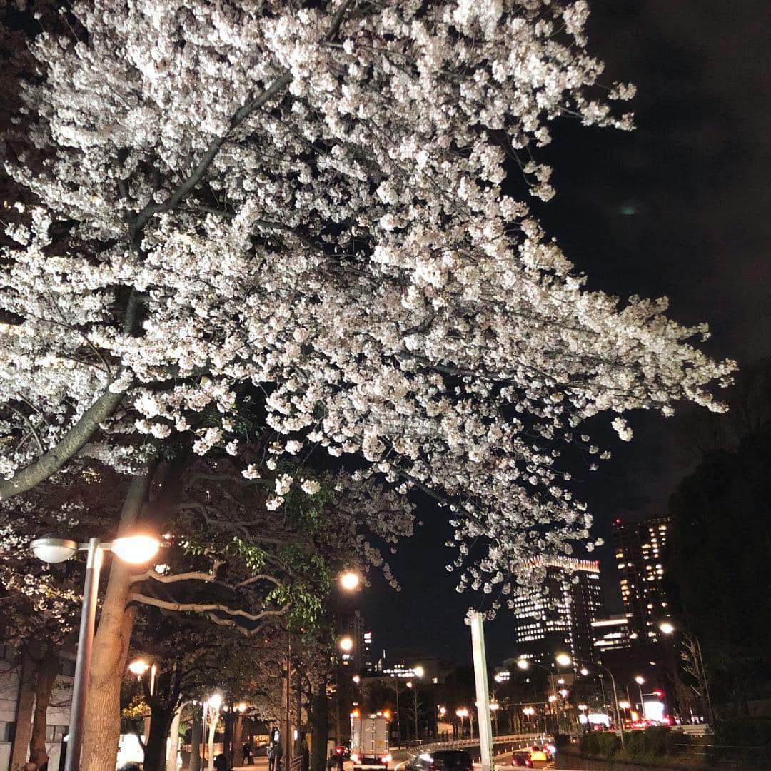 run+さんのインスタグラム写真 - (run+Instagram)「#桜 #こいのぼり #新元号 と季節の楽しみ満載の #帰宅ラン ・ 東京タワーにかかる桜が美しく何度でもうっとり🗼✨ 途中 #お花見 に立ち寄ったり🌸 東京タワーの足元に早くも泳ぐこいのぼり🎏 #新元号 が輝く #令和 の灯り🏮 そして、時を駆けて見ましたw 目黒川の桜は川に反射する桜やライトアップが好き♡ 今年の中目黒は例年にないくらいの混雑で写真を撮るのも歩くことすら大変な混雑だったけど、 五反田近辺は同じ目黒川とは思えないほど空いてて快適♪ ・ #帰宅RUN #通勤ラン #帰宅ランニング #都会のオアシス #走れるって幸せ #帰宅ランの楽しみ #ランニング #ジョギング #RUN ・ #ガーミン #GARMIN #garmin #ガーミン645Music #ナイキプラス #nikeplus #nikerunning ・ #ランニング女子 #ハシリマスタグラム #走るひと #ランニケーション #ゆるラン #街ラン #街RUN ・ #東京タワー #東京タワーのある景色」4月3日 10時31分 - runplus