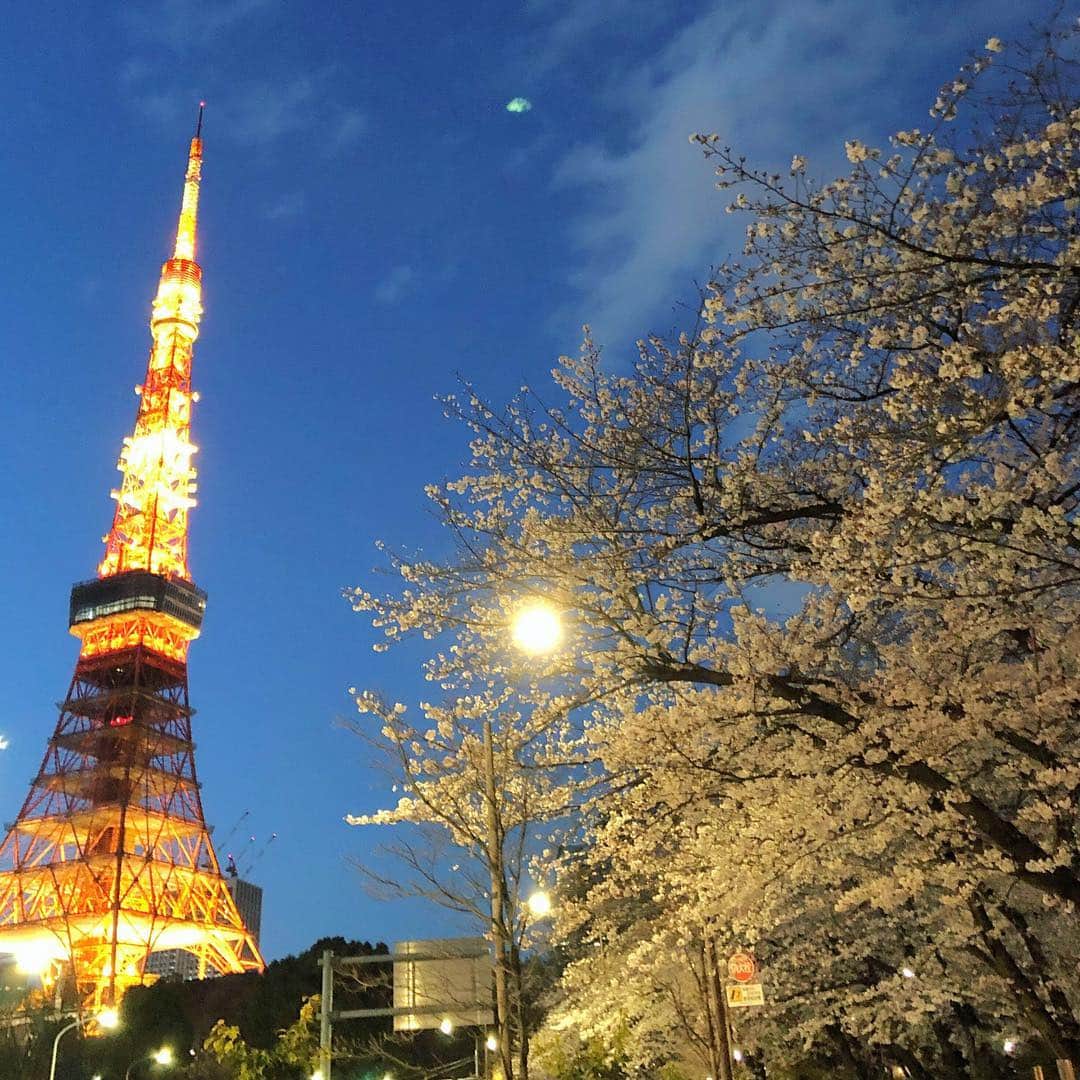 run+さんのインスタグラム写真 - (run+Instagram)「#桜 #こいのぼり #新元号 と季節の楽しみ満載の #帰宅ラン ・ 東京タワーにかかる桜が美しく何度でもうっとり🗼✨ 途中 #お花見 に立ち寄ったり🌸 東京タワーの足元に早くも泳ぐこいのぼり🎏 #新元号 が輝く #令和 の灯り🏮 そして、時を駆けて見ましたw 目黒川の桜は川に反射する桜やライトアップが好き♡ 今年の中目黒は例年にないくらいの混雑で写真を撮るのも歩くことすら大変な混雑だったけど、 五反田近辺は同じ目黒川とは思えないほど空いてて快適♪ ・ #帰宅RUN #通勤ラン #帰宅ランニング #都会のオアシス #走れるって幸せ #帰宅ランの楽しみ #ランニング #ジョギング #RUN ・ #ガーミン #GARMIN #garmin #ガーミン645Music #ナイキプラス #nikeplus #nikerunning ・ #ランニング女子 #ハシリマスタグラム #走るひと #ランニケーション #ゆるラン #街ラン #街RUN ・ #東京タワー #東京タワーのある景色」4月3日 10時31分 - runplus