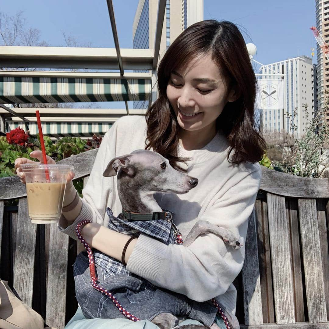 簑島宏美さんのインスタグラム写真 - (簑島宏美Instagram)「* ******** Tea time with mom🐶💕 * セーターに潜り込む前のハウル。 セーターの中でも外でもやることは同じ。笑 膝の上だとほぼ動かずこの状態なので、ぬいぐるみと間違われることもあります😂 ******** #イタグレ#イタリアングレーハウンド#italiangreyhound#dogstagram#イタグレとの暮らし#iggy#iggygram #iggylove#iggylife#いぬのいる暮らし#犬のいる暮らし#いぬバカ部#イタグレ服#iggysoftheworld #iggygram #iggysofinstagram #dogsofig #dogsofinstagram #プチプラコーデ #犬好きな人と繋がりたい#オシャレさんと繋がりたい#ハンドメイド#犬服#犬服ハンドメイド#リンクコーデ#いぬのきもち#いぬのきもち部#everydog#エブリドッグ#everydoglover」4月3日 10時31分 - hiromiminoshima