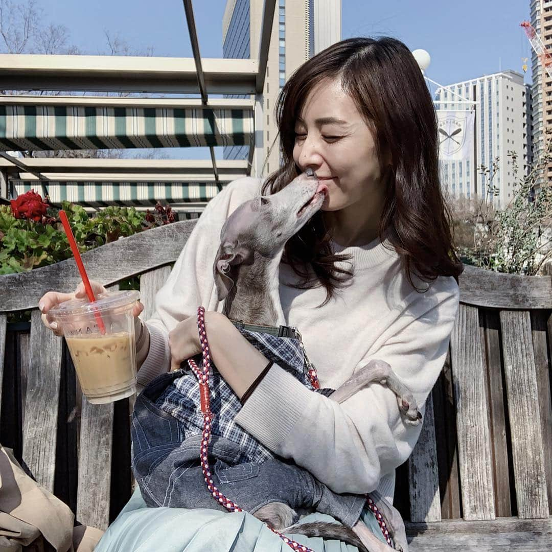 簑島宏美さんのインスタグラム写真 - (簑島宏美Instagram)「* ******** Tea time with mom🐶💕 * セーターに潜り込む前のハウル。 セーターの中でも外でもやることは同じ。笑 膝の上だとほぼ動かずこの状態なので、ぬいぐるみと間違われることもあります😂 ******** #イタグレ#イタリアングレーハウンド#italiangreyhound#dogstagram#イタグレとの暮らし#iggy#iggygram #iggylove#iggylife#いぬのいる暮らし#犬のいる暮らし#いぬバカ部#イタグレ服#iggysoftheworld #iggygram #iggysofinstagram #dogsofig #dogsofinstagram #プチプラコーデ #犬好きな人と繋がりたい#オシャレさんと繋がりたい#ハンドメイド#犬服#犬服ハンドメイド#リンクコーデ#いぬのきもち#いぬのきもち部#everydog#エブリドッグ#everydoglover」4月3日 10時31分 - hiromiminoshima